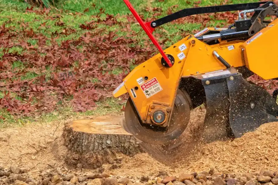 Affordable Stump Grinding Pittsboro, NC Affordable Stump Grinding Pittsboro, NC