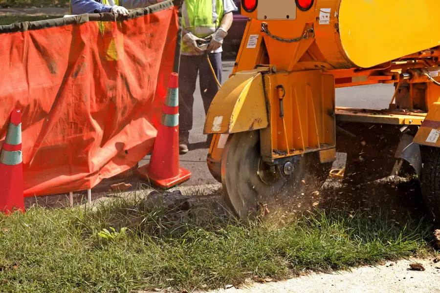 Excellent Stump Grinding Pittsboro, NC Excellent Stump Grinding Pittsboro, NC