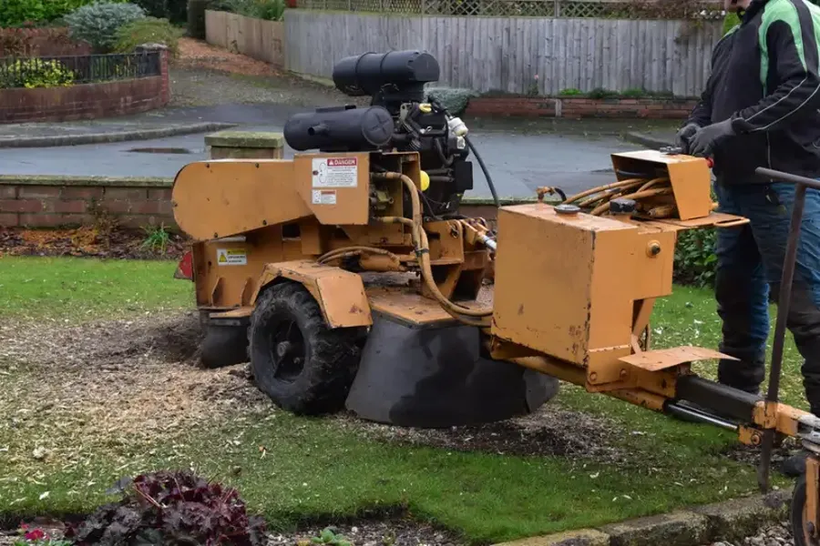 How Stump Grinding Prepares Land For Excavation Pittsboro, NC How Stump Grinding Prepares Land For Excavation Pittsboro, NC