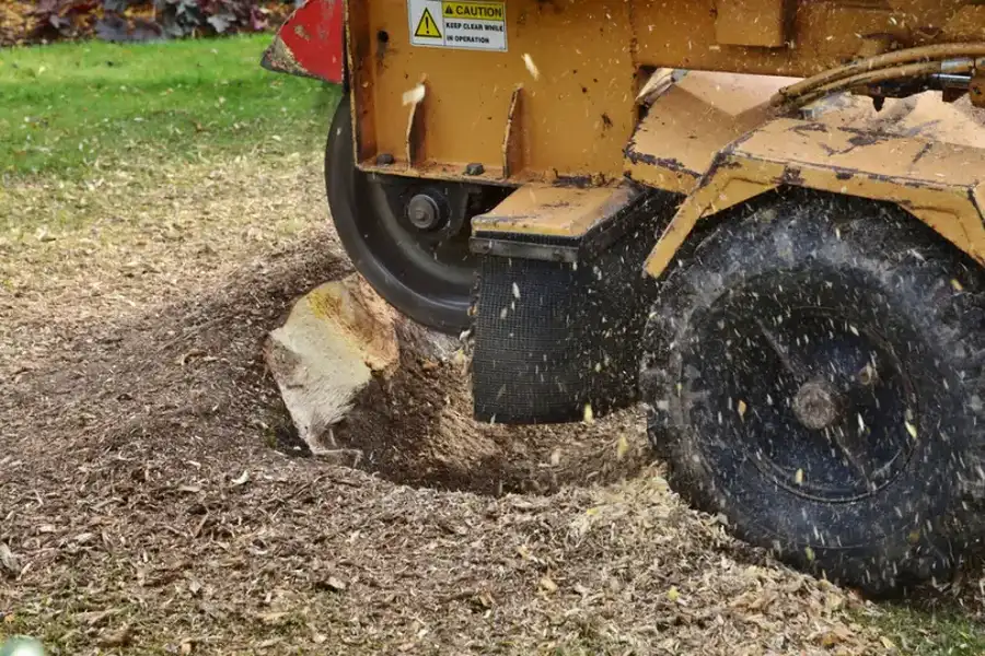 How Stump Grinding Prepares Land For Excavation in Pittsboro, NC How Stump Grinding Prepares Land For Excavation in Pittsboro, NC
