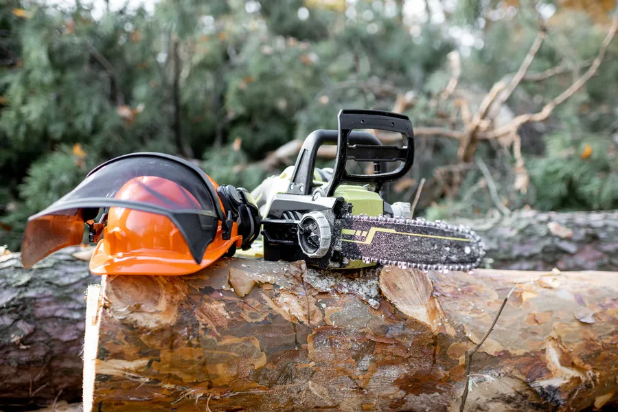How Tree Cutting Service Improves Site Preparation Pittsboro, NC How Tree Cutting Service Improves Site Preparation Pittsboro, NC