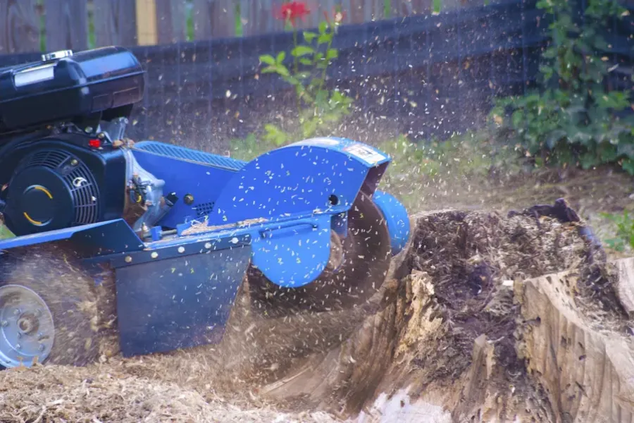 Quality Stump Grinding Pittsboro, NC Quality Stump Grinding Pittsboro, NC