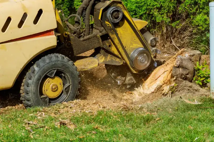 The Importance Of Stump Grinding In Site Development Pittsboro, NC The Importance Of Stump Grinding In Site Development Pittsboro, NC