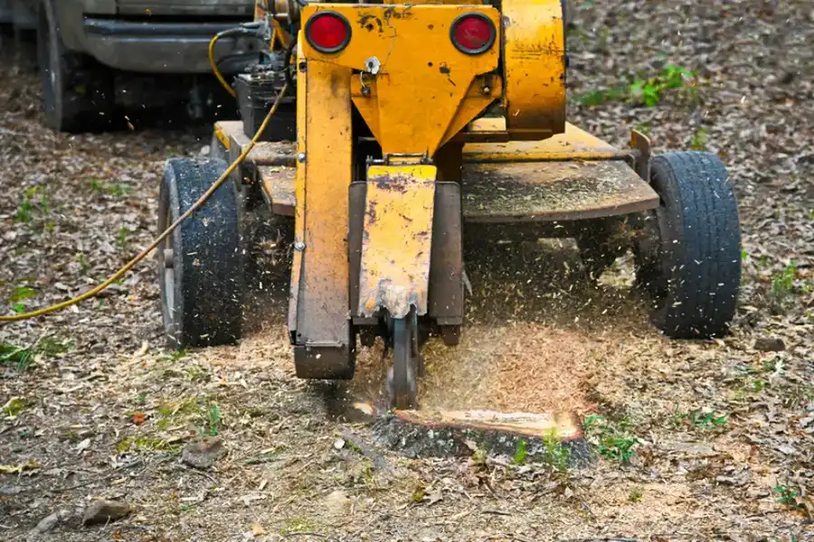 The Importance Of Stump Grinding In Site Development in Pittsboro, NC The Importance Of Stump Grinding In Site Development in Pittsboro, NC