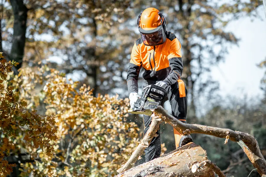 The Role Of Tree Cutting Service In Land Clearing Pittsboro, NC The Role Of Tree Cutting Service In Land Clearing Pittsboro, NC