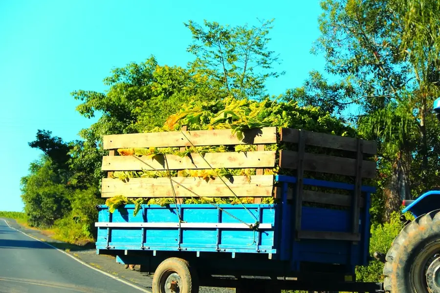 Top-rated Hauling Services Pittsboro, NC Top-rated Hauling Services Pittsboro, NC